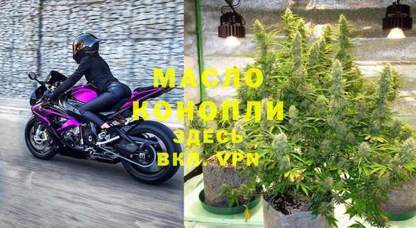 стафф Новодвинск