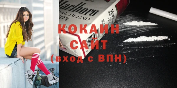 крисы Нея