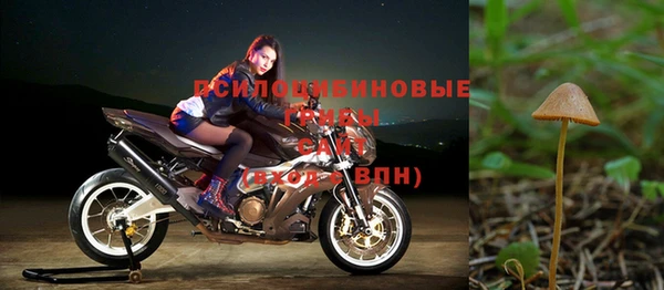 стафф Новодвинск