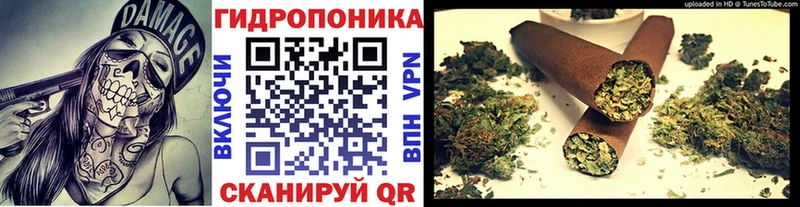 Бошки Шишки SATIVA & INDICA  shop как зайти  Ардатов 